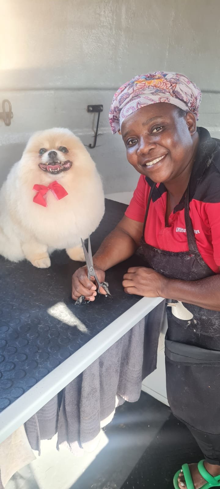 Wet Nose grooming Cape Town