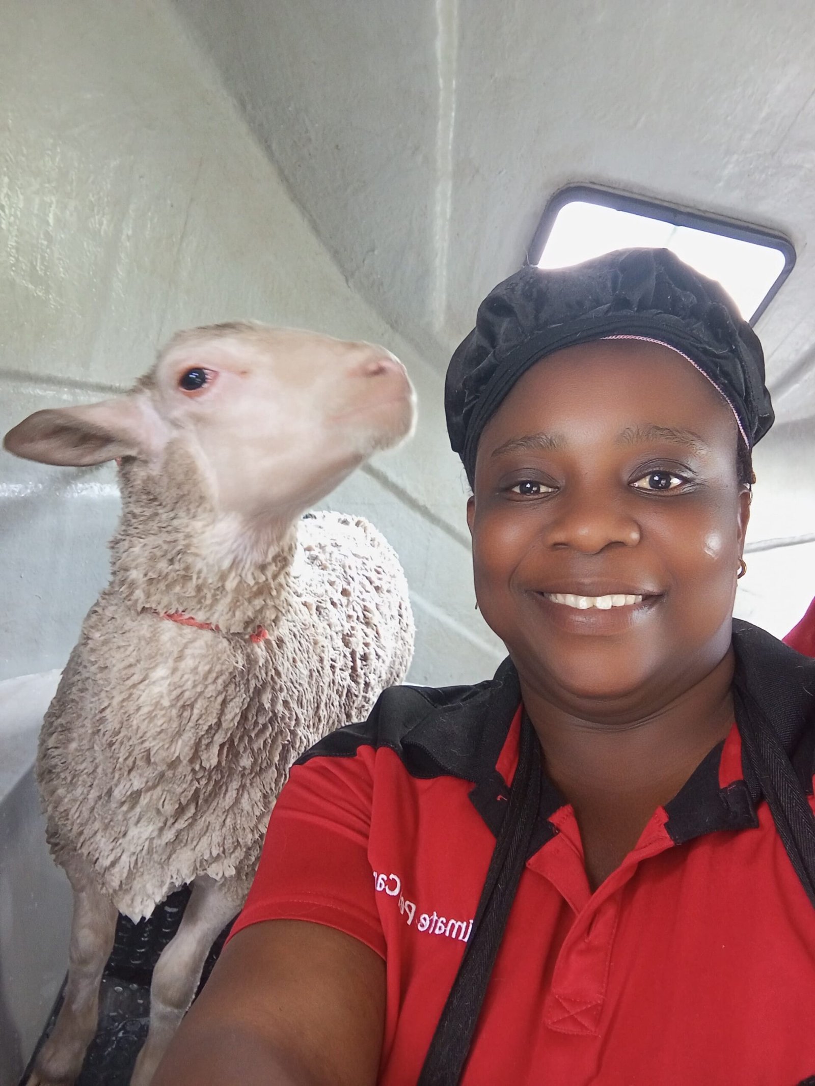 Mobile pet grooming Cape Town happy dog after grooming